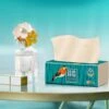 BAMTIME Bamboo Tissues Doos 4-laags Tissues / 90pcs 16box -karton -Huishoudelijke Winkel 1200x1139 3