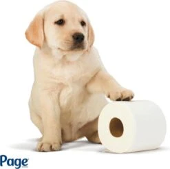 Nieuwe uitgaven -Huishoudelijke Winkel 1200x1188 6