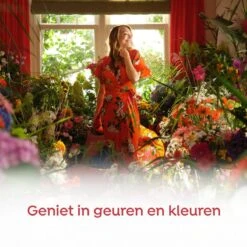 Robijn Klein & Krachtig Rosé Chique Vloeibaar Wasmiddel - 8 X 19 Wasbeurten - Voordeelverpakking -Huishoudelijke Winkel 1200x1200 74