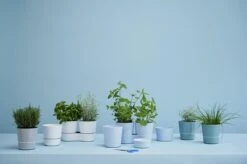 Mepal – Kruidenpot Twin - Wit – Automatische Bewatering – Altijd Verse Kruiden In De Keuken – Ook Geschikt Voor Planten -Huishoudelijke Winkel 1200x798 3